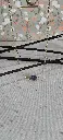 20250613_133056(1).webp